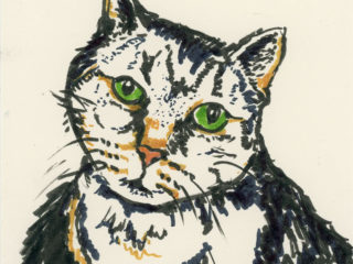 Cats and Kids are in Wimmel mit! And I am illustrating a new Wimmelbook!