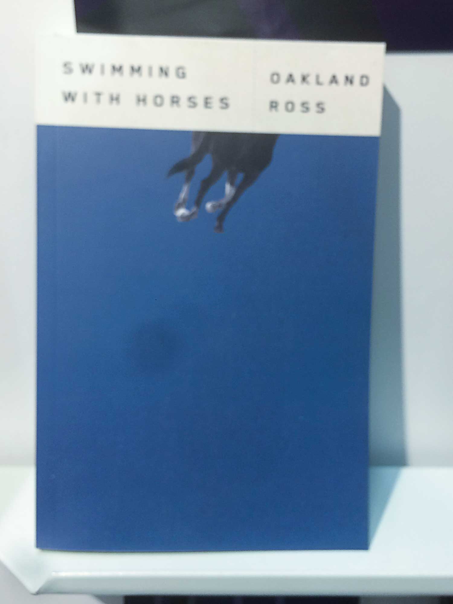 swiming-with-horses Dieses Foto zeigt die Titel "Swimming with horses" (Mit Pferde schwimmend). Zweidrittel des covers ist blau. Im oberen Drittel sieht man ein Pferd, das schwimmt, jedoch nur den Körper, nicht den Kopf.