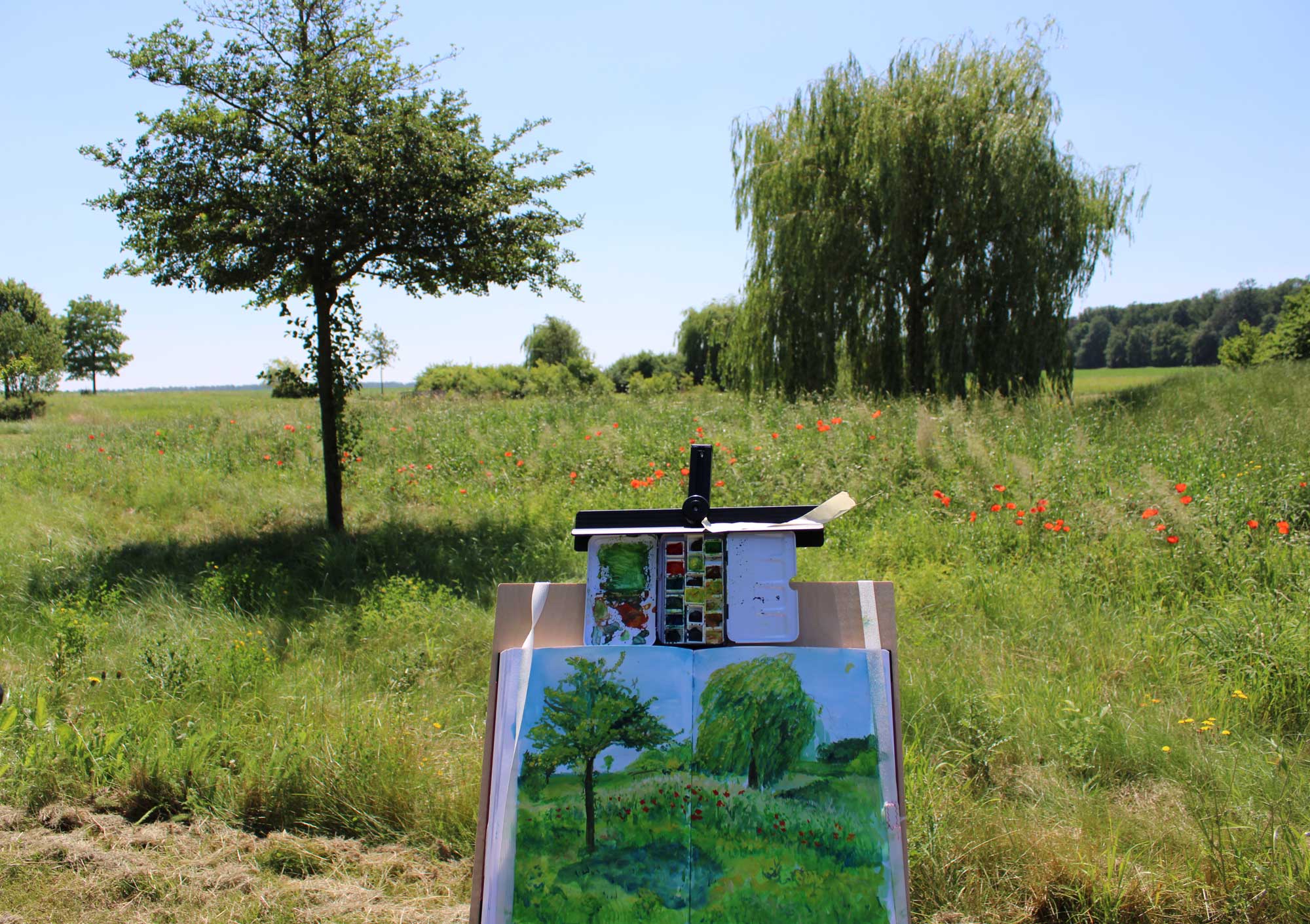 It's fun to get out and enjoy the bright blue sky and the green of the fields in a nearby park. Photo of my landscape painting in gouache with the scene that I've painted.