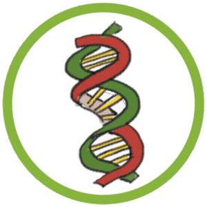 Wimmelbild-Vignette: Ein stilisierter DNA-Strang in Rot- und Grüntönen auf kreisförmigem, grasgrünenm Hintergrund. Symbol für moderne Pflanzenzüchtung.Die Grafik ist kreisrund und hat eine grasgrünen Umrandung.