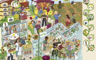 Wimmelbild mit sechs Hauptszenen und zehn Suchbildchen, gezeichnet für den Bund Deutscher Pflanzenzüchter e.V. Unten links: Ein Labor mit Pflanzenproben, Mikroskop und Fachgesprächen Unten rechts: Ein Gewächshaus mit drei Pflanzenzüchter:innen und Gregor Mendel, der Erbsen in seiner Hand hält Oben rechts: Ein Versuchsfeld mit Pflanzenzüchter:innen, eine Person steuert eine Drohne Oben mittig: »Deutschland sucht die Supersorte« Ein Talentwettbewerb unter den Pflanzen mit einer Jury, Pflanzen auf der Bühne und Applaus. Bildmitte: der Maiskolbenkönig. Ein Maiskolben trägt eine Geburtstagskrone mit der Zahl 15 darauf. Zwei Mitarbeiter:innen schenken ihm eine Schokoladentorte. Es dauert bis zu 15 Jahre, bis eine Sorte die Marktreife erlangt. Oben links: ein zertifiziertes Saatgutlager mit großen Säcken, Abfüllanlage und einem beladenen Lkw.