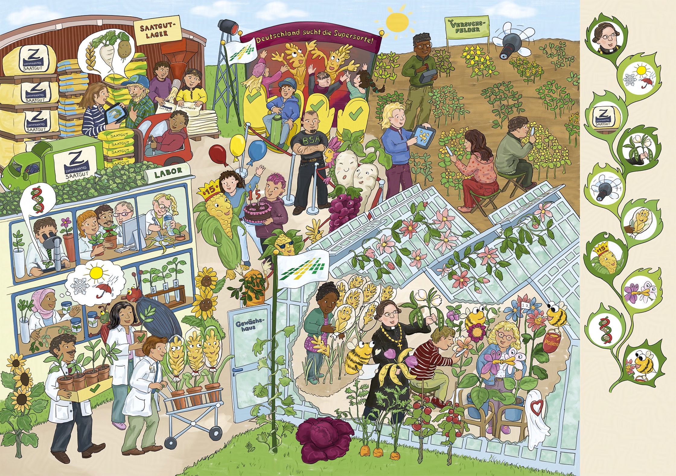 Wimmelbild mit sechs Hauptszenen und zehn Suchbildchen, gezeichnet für den Bund Deutscher Pflanzenzüchter e.V. Unten links: Ein Labor mit Pflanzenproben, Mikroskop und Fachgesprächen Unten rechts: Ein Gewächshaus mit drei Pflanzenzüchter:innen und Gregor Mendel, der Erbsen in seiner Hand hält Oben rechts: Ein Versuchsfeld mit Pflanzenzüchter:innen, eine Person steuert eine Drohne Oben mittig: »Deutschland sucht die Supersorte« Ein Talentwettbewerb unter den Pflanzen mit einer Jury, Pflanzen auf der Bühne und Applaus. Bildmitte: der Maiskolbenkönig. Ein Maiskolben trägt eine Geburtstagskrone mit der Zahl 15 darauf. Zwei Mitarbeiter:innen schenken ihm eine Schokoladentorte. Es dauert bis zu 15 Jahre, bis eine Sorte die Marktreife erlangt. Oben links: ein zertifiziertes Saatgutlager mit großen Säcken, Abfüllanlage und einem beladenen Lkw.